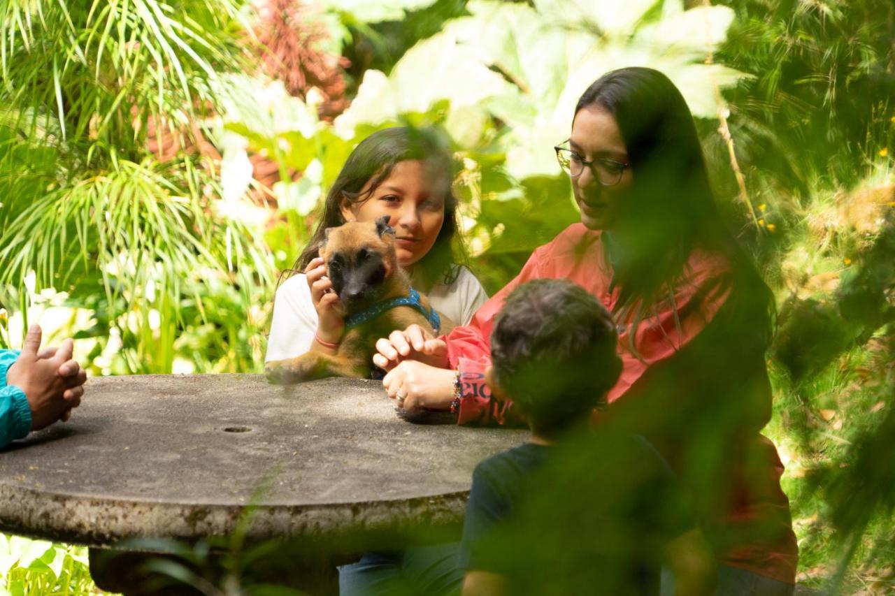 Bed and breakfast Dantica Cloud Forest 4*