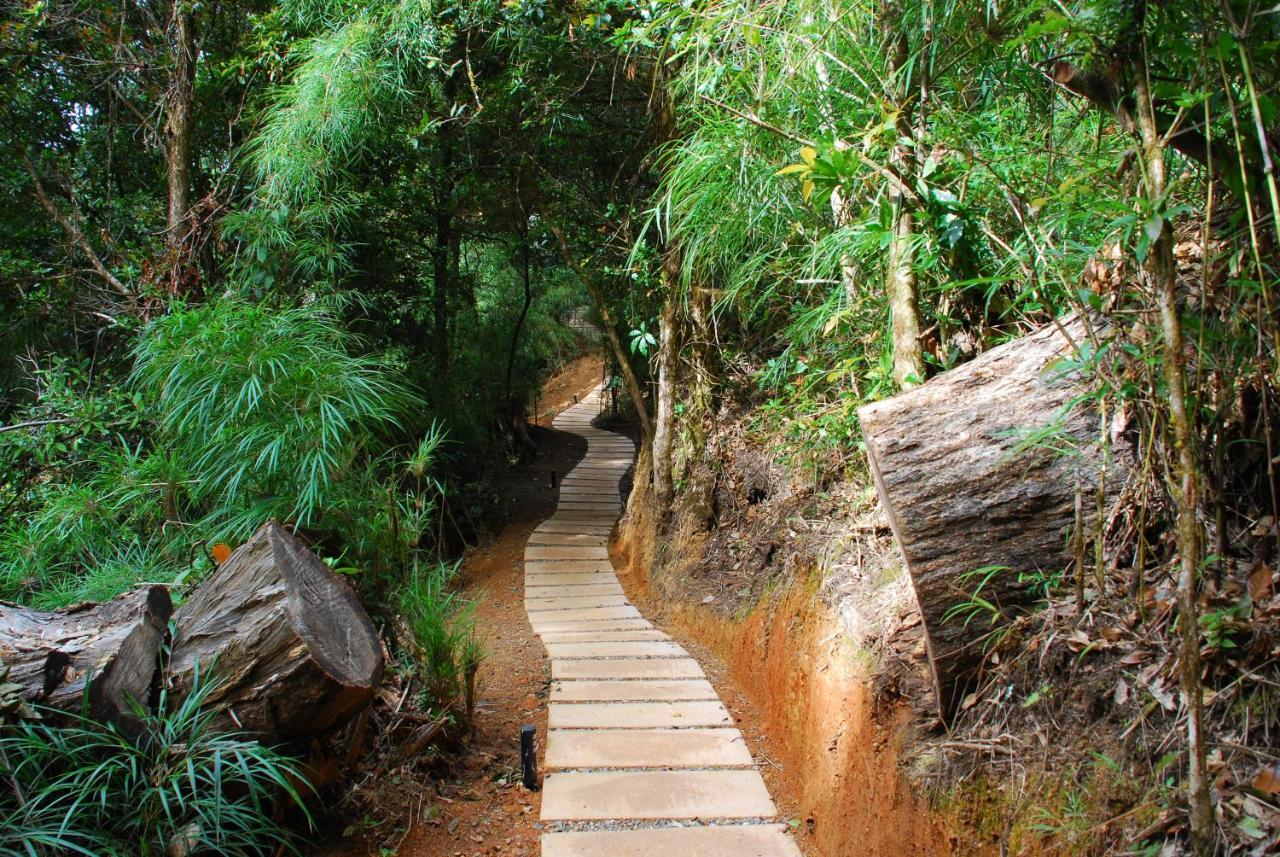 Bed and breakfast Dantica Cloud Forest San Gerardo de Dota