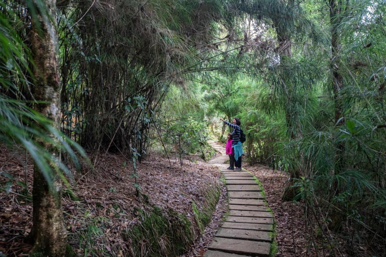 Dantica Cloud Forest Bed and breakfast San Gerardo de Dota