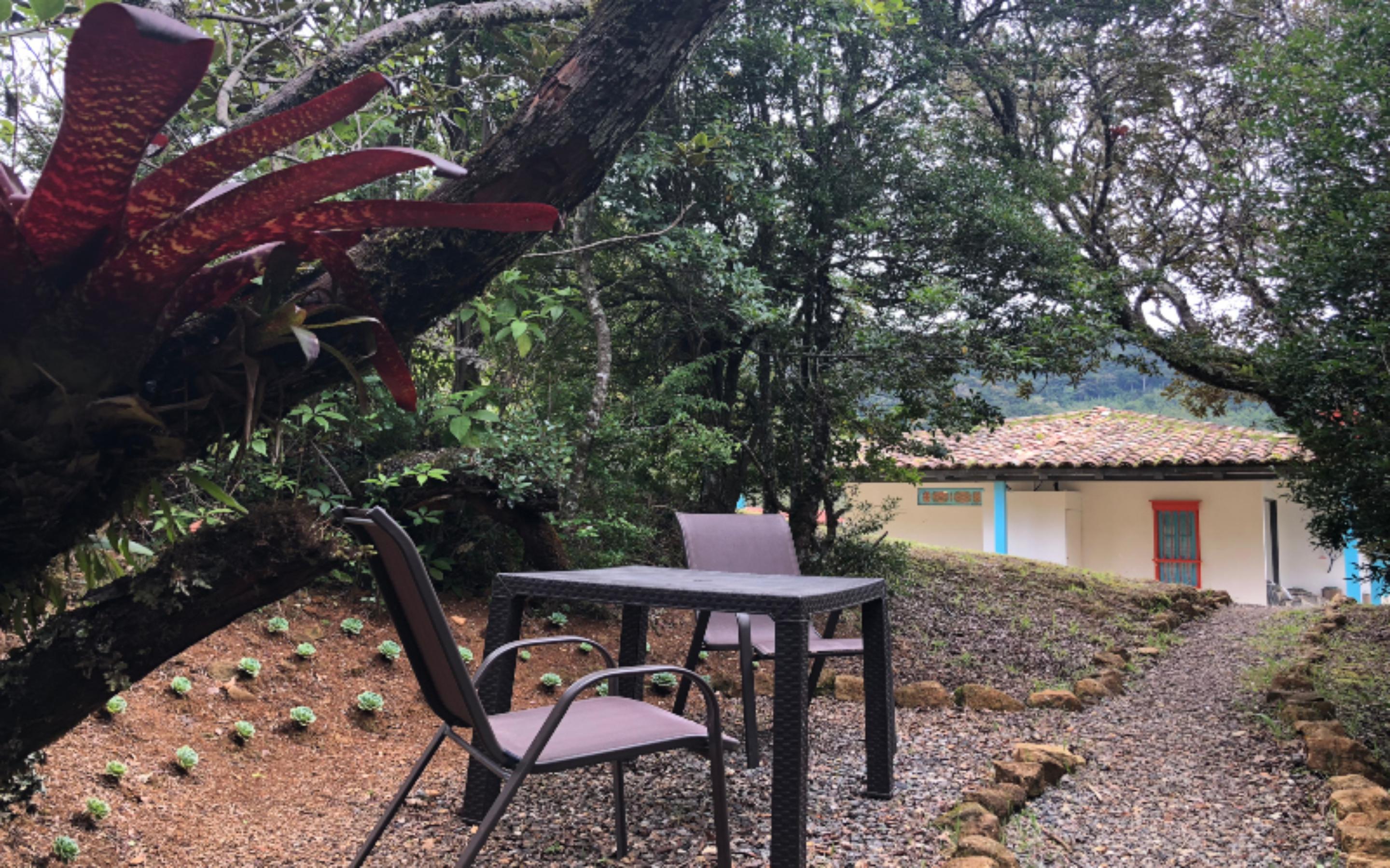 Dantica Cloud Forest Bed and breakfast 4*