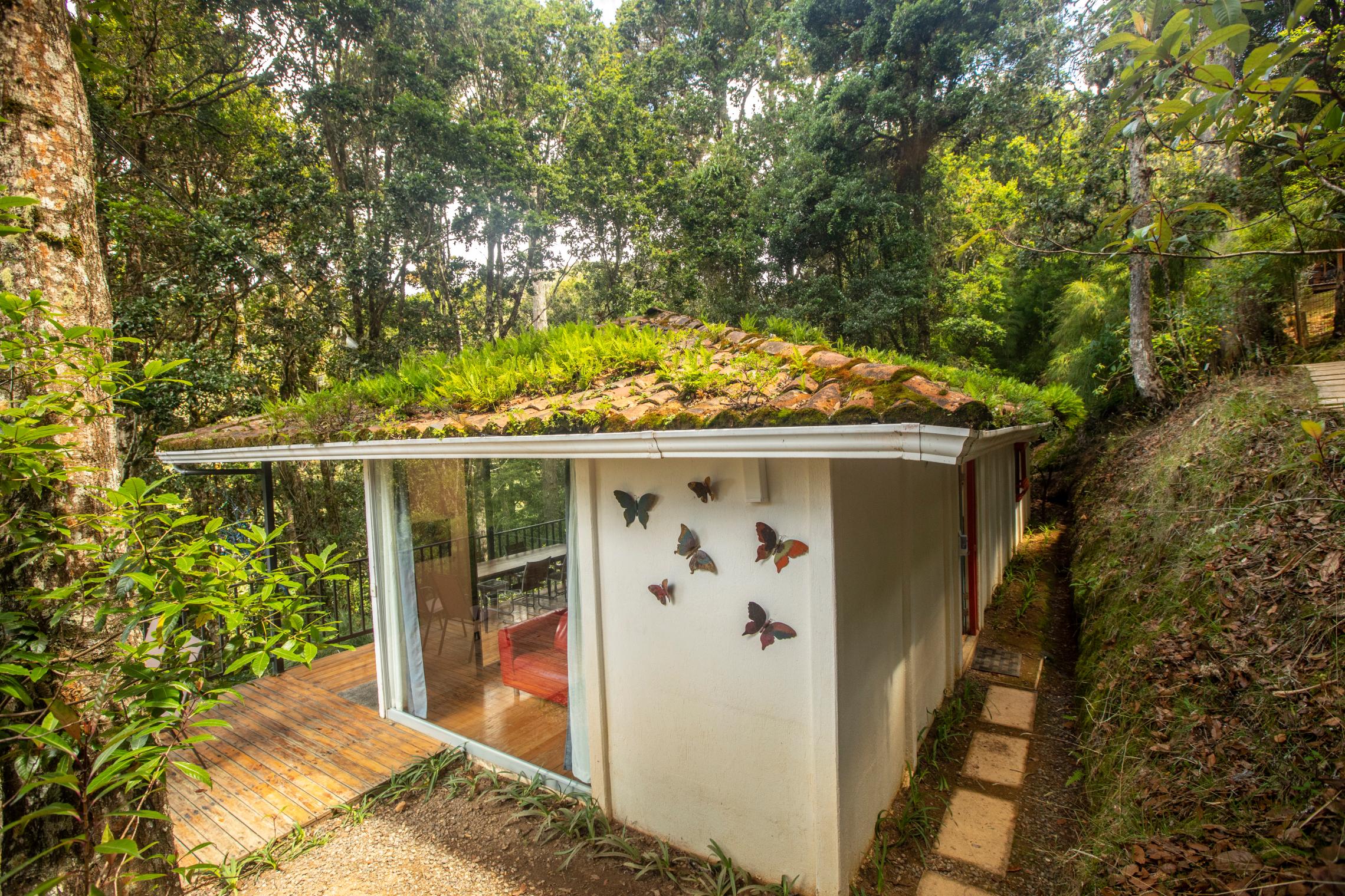 Bed and breakfast Dantica Cloud Forest