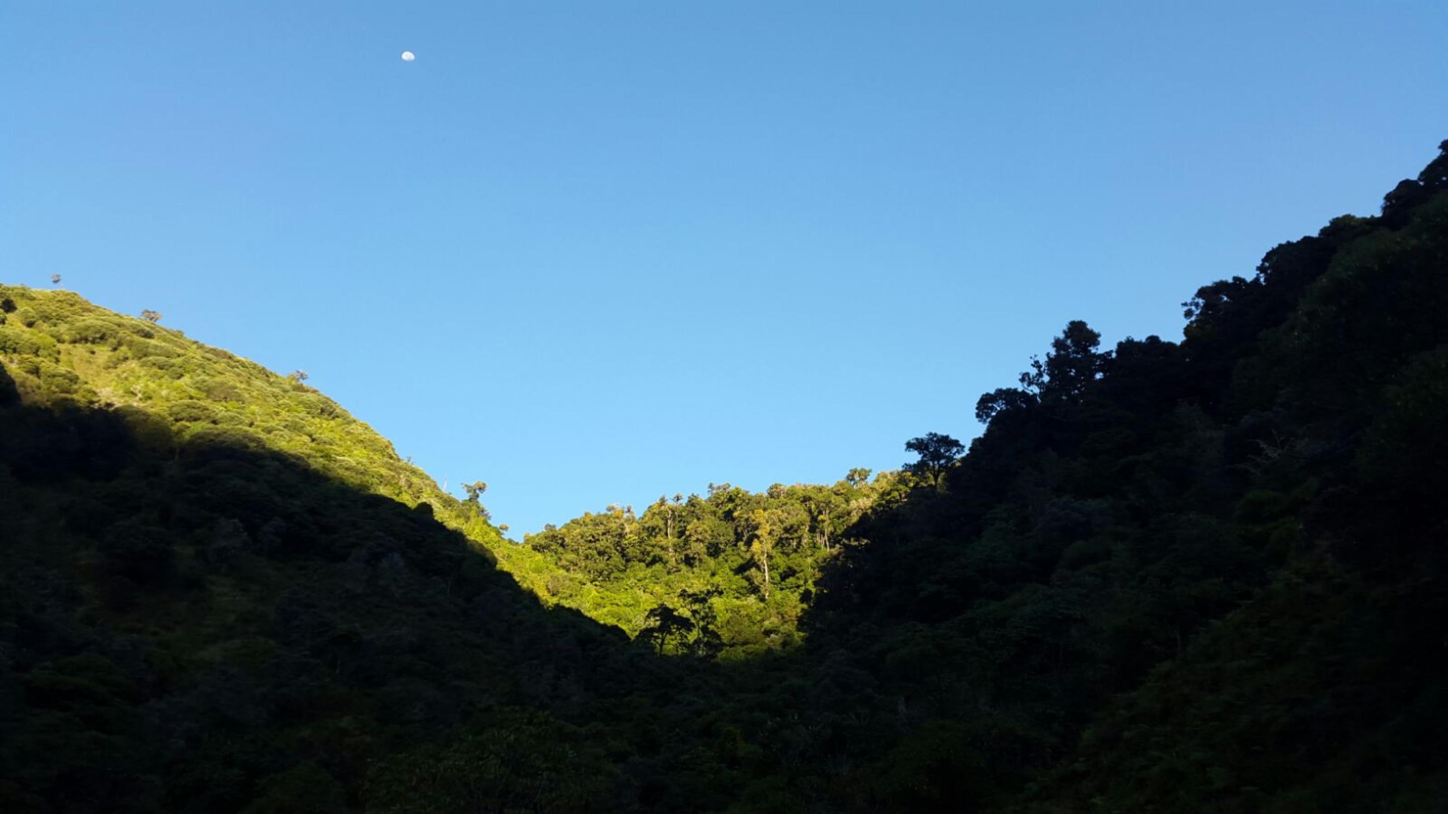 Bed and breakfast Dantica Cloud Forest