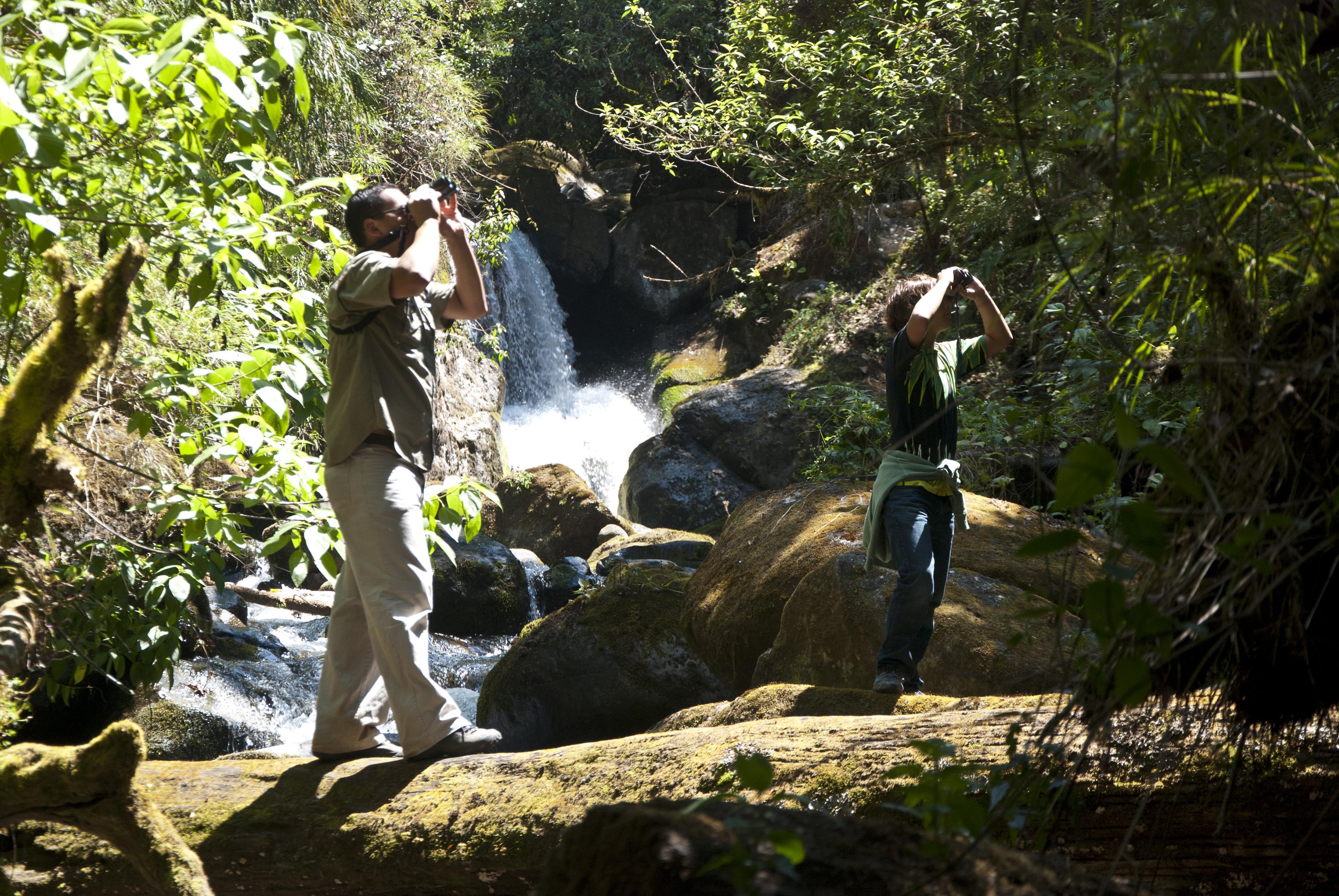 Dantica Cloud Forest Bed and breakfast San Gerardo de Dota