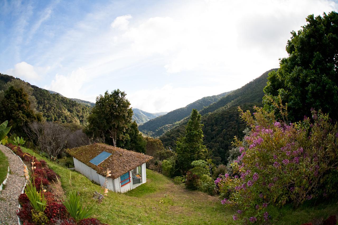 Bed and breakfast Dantica Cloud Forest 4*