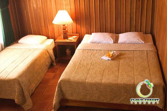 Dantica Cloud Forest Bed and breakfast San Gerardo de Dota